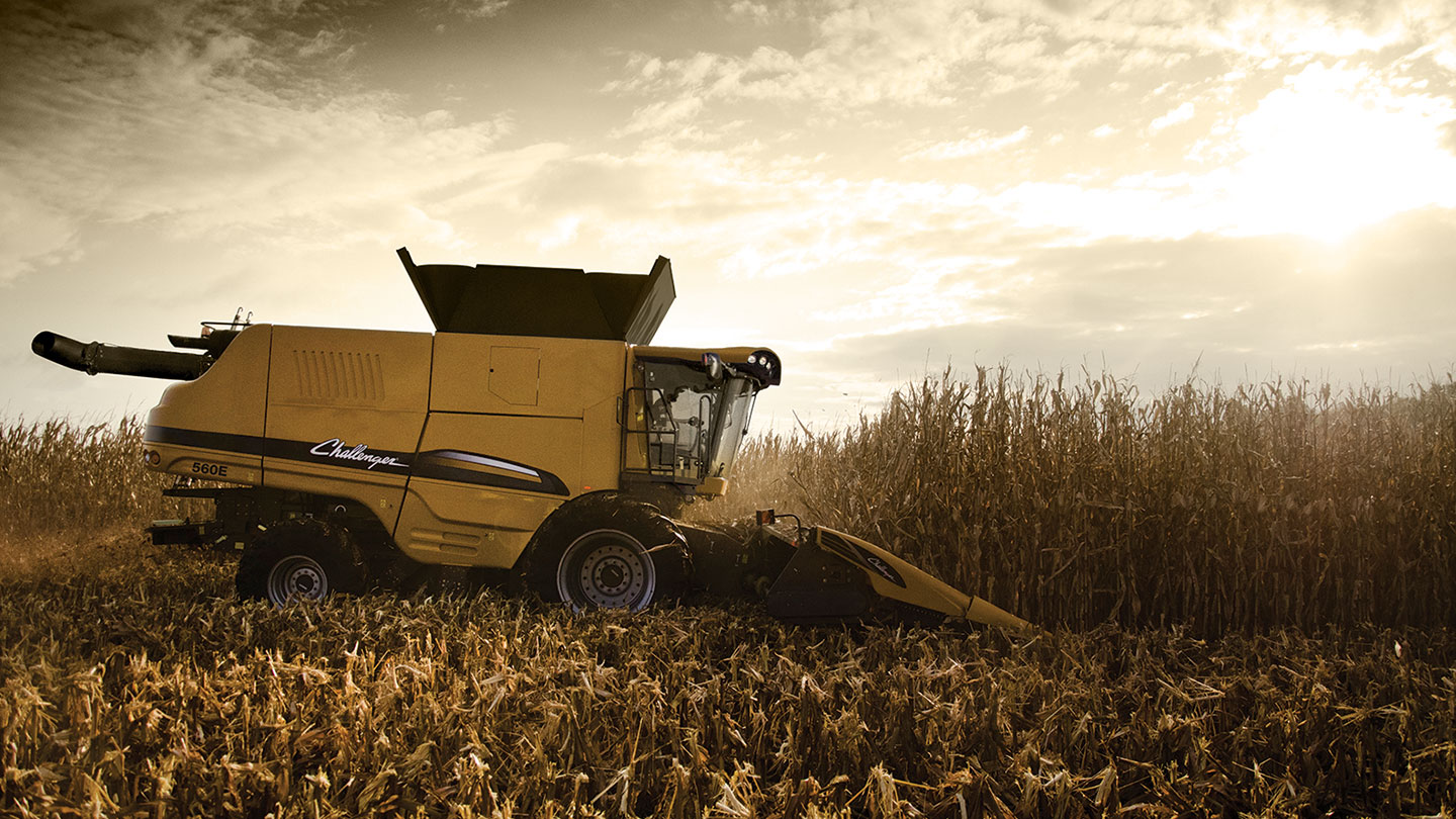 Challenger Combine Harvesting